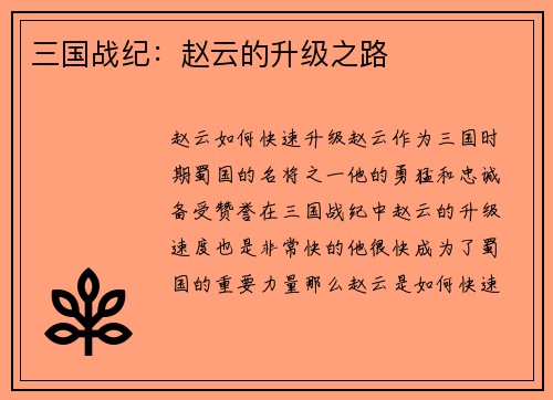三国战纪：赵云的升级之路