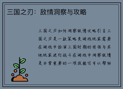 三国之刃：敌情洞察与攻略