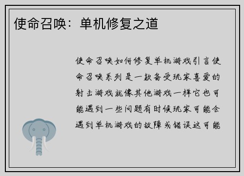 使命召唤：单机修复之道